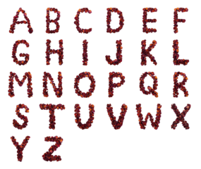 English alphabet with dry red rose petals isolated on transparent background. Alphabet letters A - Z made from red rose petals. Typography concept with natural elements