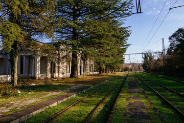 Old abandoned overgrown railway station