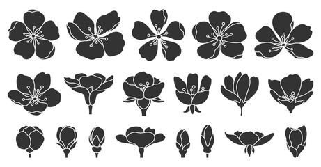Sakura cherry flower blossom black silhouette set. Seasonal oriental decor stamp print glyph stencil plant blooming Chinese Japanese symbol hand draw element blooming spring summer botanical isolated