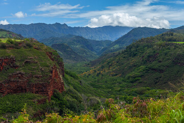 Fototapeta na wymiar majestic canyon in tropical Hawaii