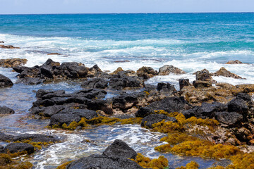 Fototapeta na wymiar Waves and rocks on the Ocean