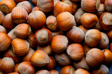 delicious hazelnuts.beautiful hazelnuts closeup for banner background.food products diet concept