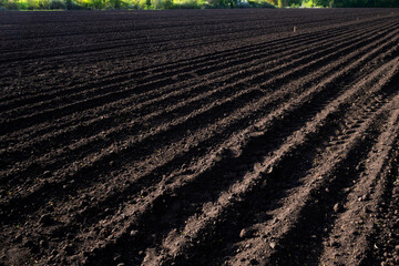 Arable land. A field of black soil. Ploughed field in spring. Agricultural background.