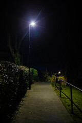 Portrait orientation of a tree light lighting an empty pathway at night