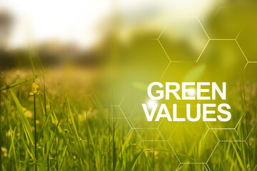 Clean plants on field and bright sunlight to the good ecological future.  Green value chain, safe...