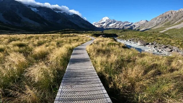 hiking in new zealand
