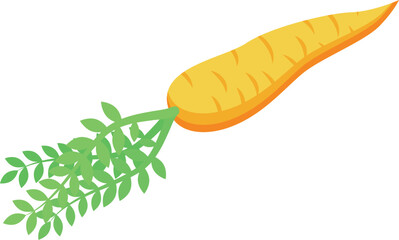 Garden carrot icon isometric vector. Food drink. Summer menu