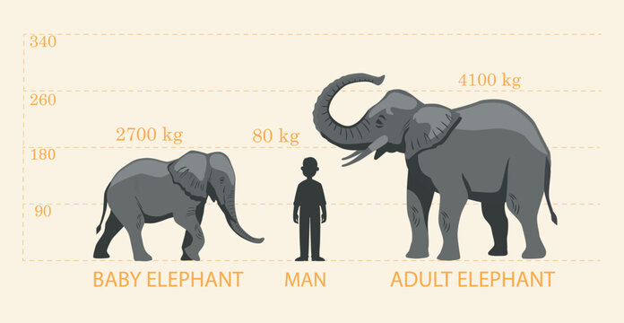 Comparing elephants to humans. Child and adult animal next to human silhouette, height and weight assessment, analysis. Biology and zoology. Safari and wildlife. Cartoon flat vector illustration