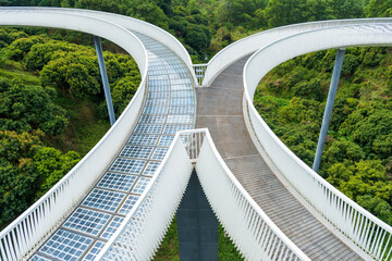 white bridge over forest in the park