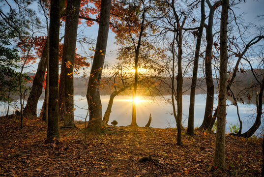 A dramatic sunset shining through trees in the forest at Lake Benson Park in Garner, North Carolina.