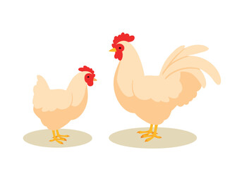 Chicken mother with kid. Chick looks at rooster and cockerel. White animals with feathers and wings. Agriculture and farming. Wild life and fauna. Cartoon flat vector illustration