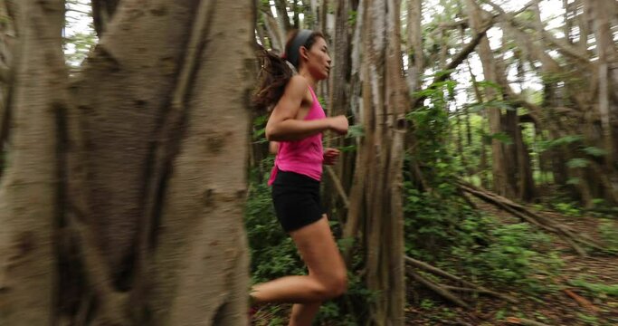 Running fitness sport woman trail running in forest by banyan tree training and living healthy active outdoor lifestyle working out. Female trail runner, 59.94 FPS. Oahu, Hawaii, USA