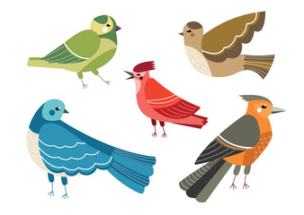 Set of birds. Collection of colorful little animals with feathers and wings. Ornithology and zoology, fauna and wild life, biology. Cartoon flat vector illustrations isolated on white background