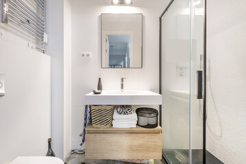 Bathroom with one-piece white resin sink, shower cabin with screens, mirrors with fine black borders and oak drawers