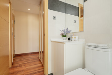 Small bathroom with a white porcelain sink above a white cabinet with doors, a wall mirror and reddish flooring