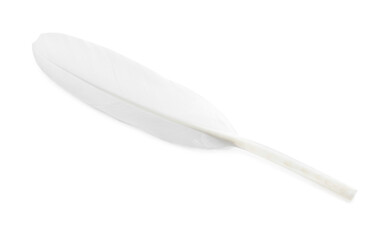 Beautiful fluffy bird feather isolated on white, top view
