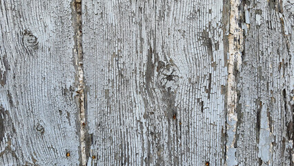 wood grain tree background texture backdrop