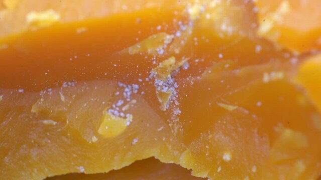 Aged Cheese With Mites Colony On Mimolette, Food Production - Zoom In