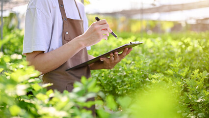 Cropped image of a professional male hydroponic farm owner recording the quality of sald plants.