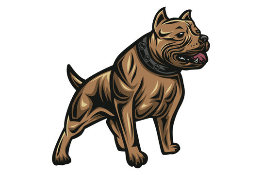 Brown Bulldog muscle illustration