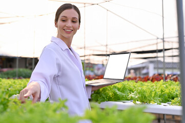Professional Caucasian female agricultural scientist using laptop, inspecting hydroponic system