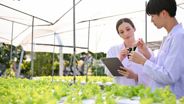 Professional scientists or biologists testing new liquid fertilizer, checking the quality of vegetables