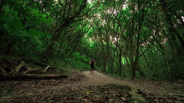 Wide Shot Of Man Running Down Forest Track In New Zealand