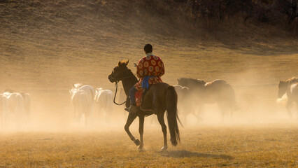 Horses Running Down the Hill