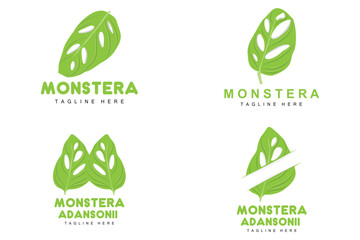 Monstera adansonii Leaf Logo, Green Plant Vector, Tree Vector, Rare Leaf Illustration