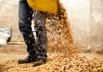 coffee beans