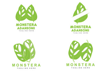 Monstera adansonii Leaf Logo, Green Plant Vector, Tree Vector, Rare Leaf Illustration
