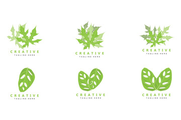 Monstera adansonii Leaf Logo, Green Plant Vector, Tree Vector, Rare Leaf Illustration