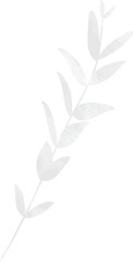 Watercolor wedding leaf branch