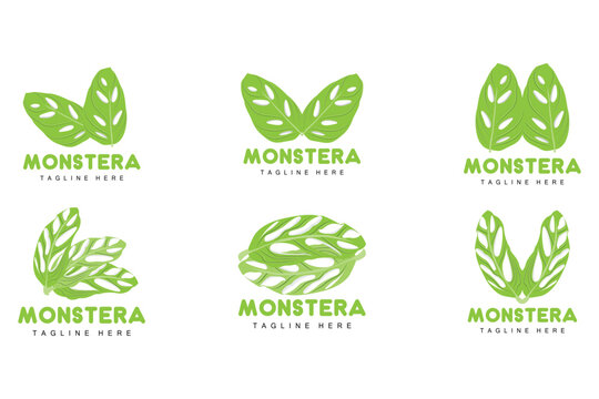 Monstera adansonii Leaf Logo, Green Plant Vector, Tree Vector, Rare Leaf Illustration