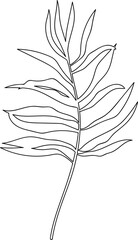 Tropical leaf line art
