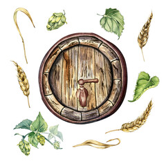Wooden beer barrel and hop vine, wheat ear watercolor illustration isolated on white. Vintage...