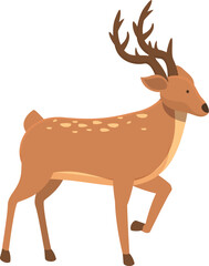Looking male icon cartoon vector. Deer animal. Mammal wildlife