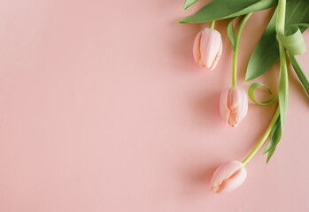 Floral frame background with pink tulips flowers on pink background. Copy space.Flat lay, top view. Spring time flowers template.Poster