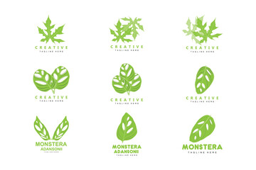 Monstera adansonii Leaf Logo, Green Plant Vector, Tree Vector, Rare Leaf Illustration
