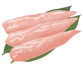 鶏のささみ © T.H