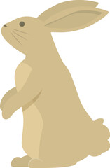 Scared rabbit icon cartoon vector. Cute pet. Wild figure