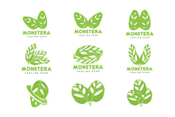Monstera adansonii Leaf Logo, Green Plant Vector, Tree Vector, Rare Leaf Illustration