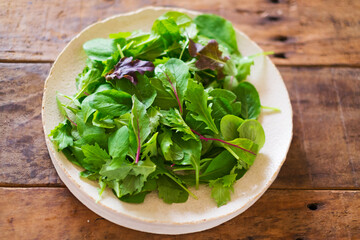 ベビーリーフサラダ