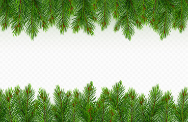 Pine tree branch border realistic vector illustration. Fir twigs with green needles, frame isolated on transparent background. Winter holiday evergreen decoration, spruce or cedar elements