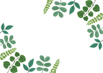 青葉のフレーム背景素材