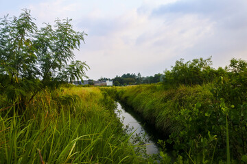 small hidden creek in the middle of lush calm grassland	