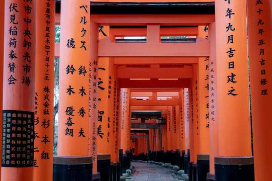 Line of orange red torii gates with traditional Japanese writing  at the Fushimi Inari Shrine in Kyoto Japan