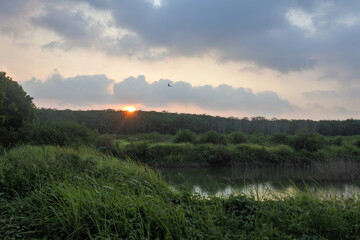 sunset in a meadow with a small pond in the middle