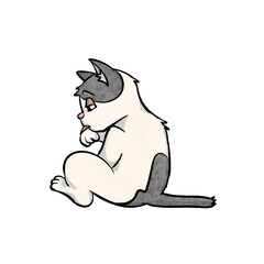 ねこ イラスト カラー