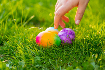 Fototapeta na wymiar Easter Egg.Finding colored eggs in the grass.Childrens hands collect bright eggs in the green grass.Easter holiday tradition.Spring religious holiday.Easter food.